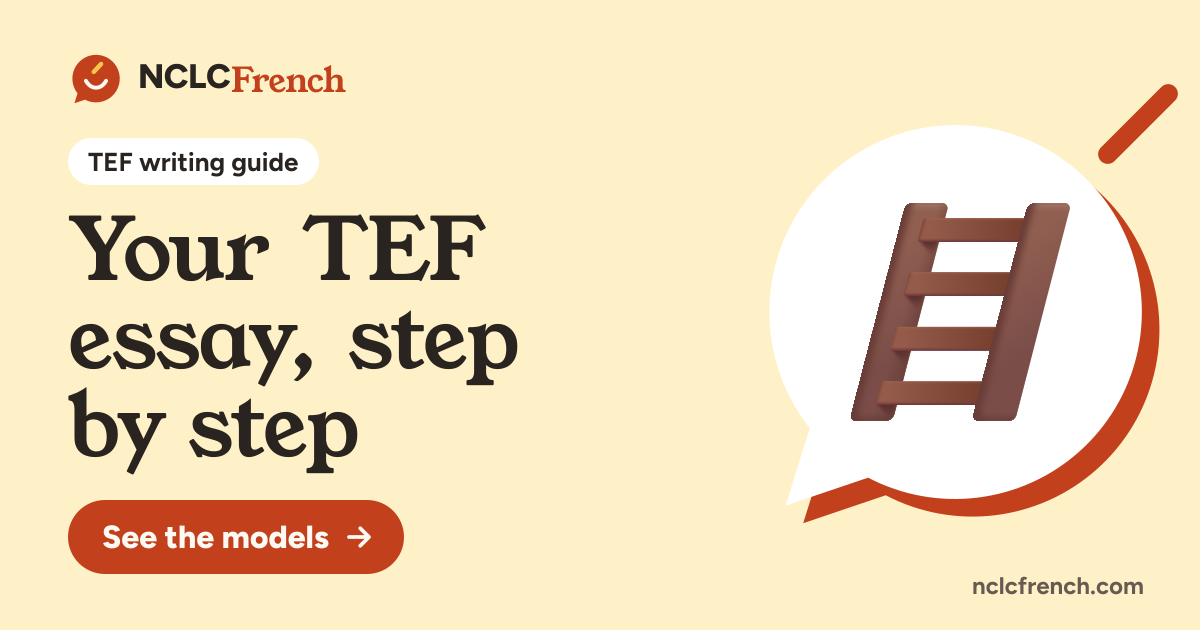 Your TEF essay, step by step
